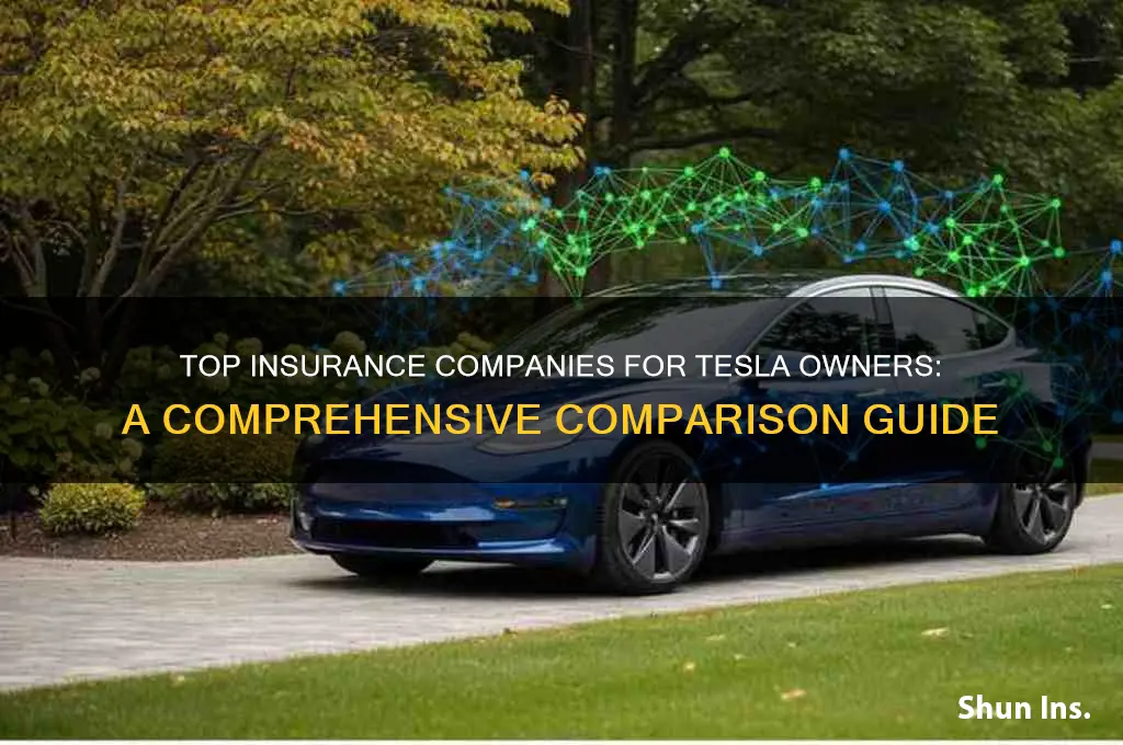 which insurance company is best for tesla