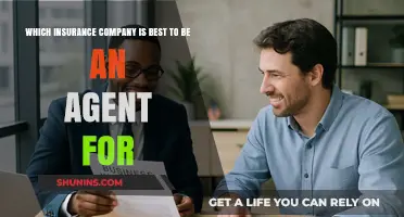 Top Insurance Companies for Agents: Finding the Best Fit