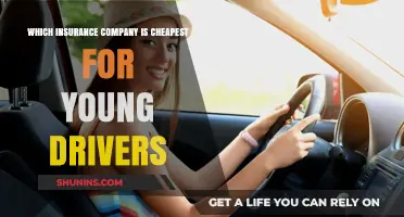 Affordable Car Insurance for Young Drivers: Top Budget-Friendly Providers