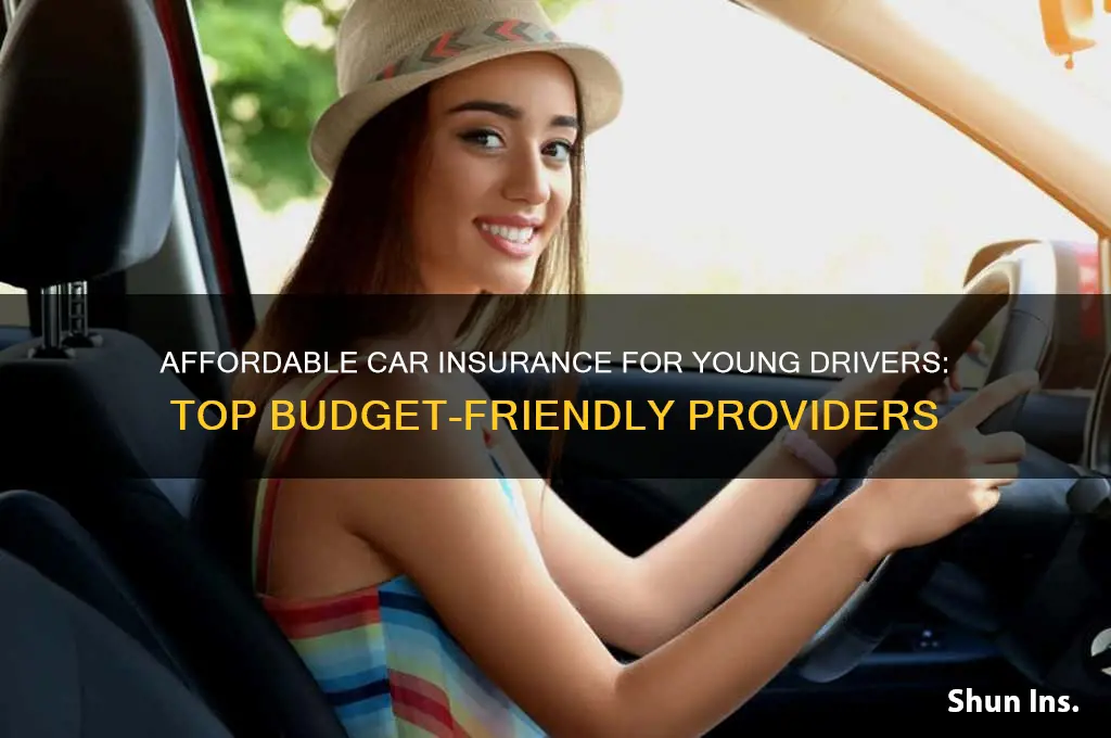 which insurance company is cheapest for young drivers