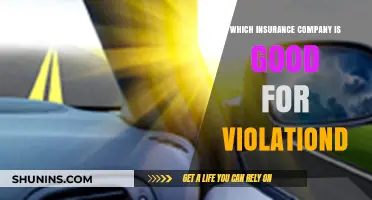 Best Insurance Companies for Drivers with Violations: A Comprehensive Guide