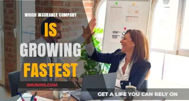 Rapidly Expanding: The Fastest-Growing Insurance Company in Today's Market