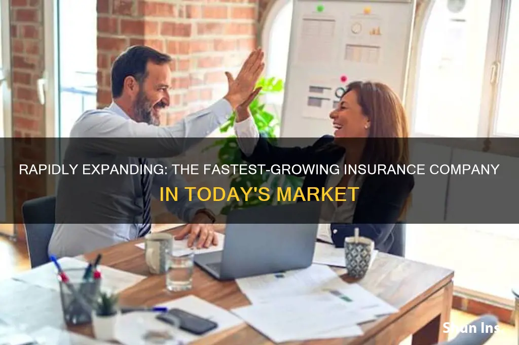 which insurance company is growing fastest