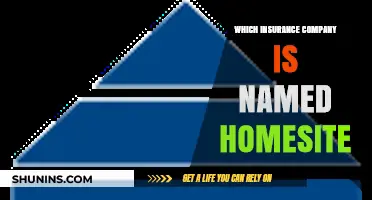 Discovering Homesite: The Insurance Company Behind the Unique Name