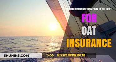 Top Oat Insurance Providers: Finding the Best Coverage for Your Needs