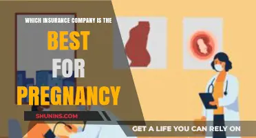 Top Pregnancy Insurance Providers: A Comprehensive Guide for Expecting Parents
