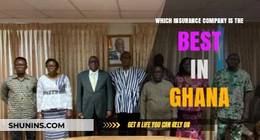 Top Insurance Companies in Ghana: A Comprehensive Guide to the Best