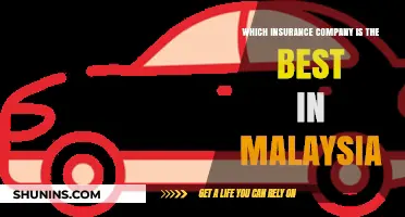 Top Malaysian Insurance Providers: A Comprehensive Comparison Guide