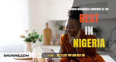 Top Nigerian Insurance Companies: A Comprehensive Guide to the Best