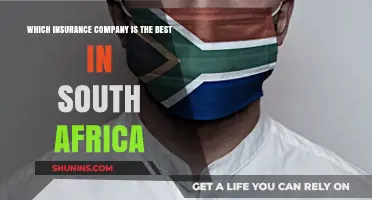 Top Insurance Companies in South Africa: A Comprehensive Comparison Guide
