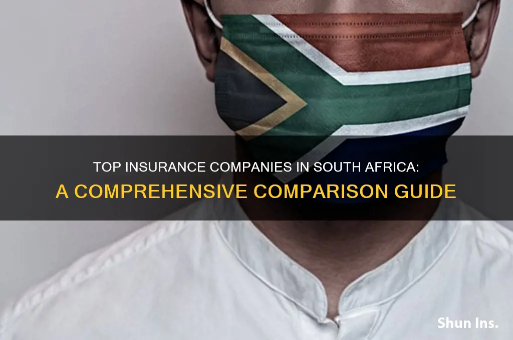 which insurance company is the best in south africa