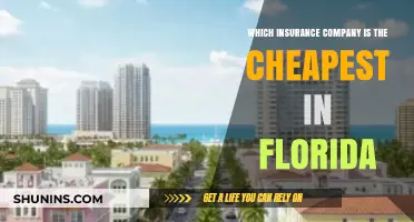 Florida's Most Affordable Insurance: Comparing Cheapest Providers for You