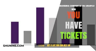 Cheapest Insurance Options for Drivers with Tickets: A Comprehensive Guide