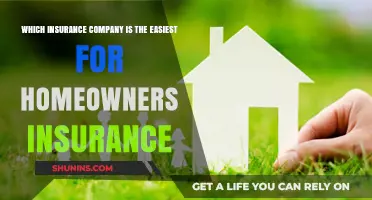 Top Homeowners Insurance Companies: Simplifying Your Coverage Choices