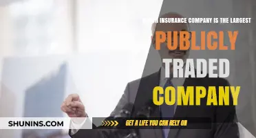 Discovering the World's Largest Publicly Traded Insurance Company