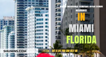 Top Miami Condo Insurance Providers: Best Companies for Florida Coverage