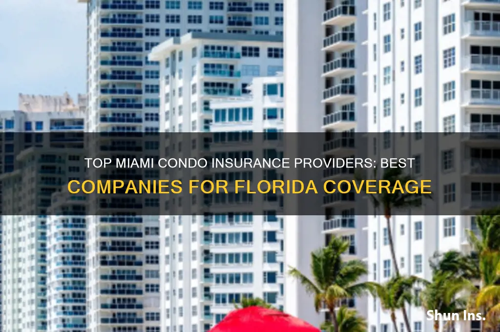 which insurance company offer condo insurance in miami florida