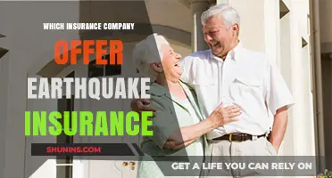 Top Earthquake Insurance Providers: Comprehensive Coverage Options for Homeowners