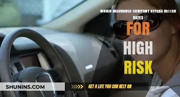 Top High-Risk Insurance Providers: Who Offers the Best Rates?