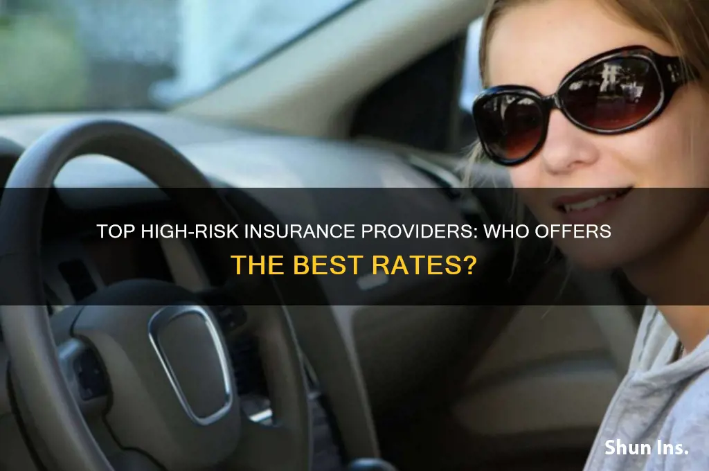 which insurance company offers better rates for high risk