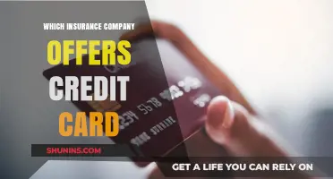 Top Insurance Companies Offering Credit Cards: A Comprehensive Guide