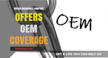 Top Insurance Companies Offering OEM Coverage: A Comprehensive Guide