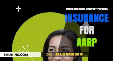 Top Insurance Providers Offering AARP-Tailored Coverage Plans