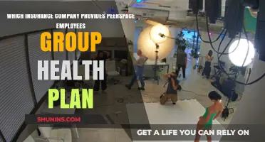 Peerspace Employee Group Health Plan: Which Insurance Provider Offers It?