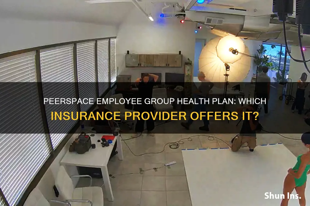 which insurance company provides peerspace employees group health plan