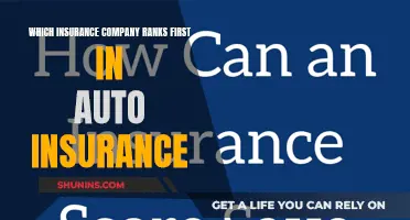 Auto Insurance: Who's Leading the Pack?