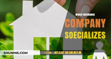 Top Insurance Companies Specializing in Unique Coverage Needs Explained