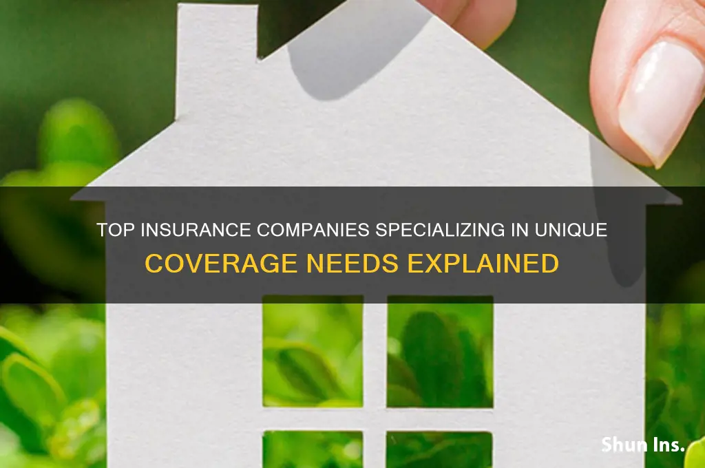 which insurance company soecializes