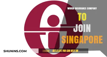 Top Insurance Companies in Singapore: Choosing the Best Fit for You
