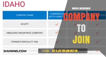 Choosing the Right Insurance Company: A Comprehensive Guide for You