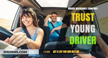 Top Insurance Companies That Trust and Support Young Drivers