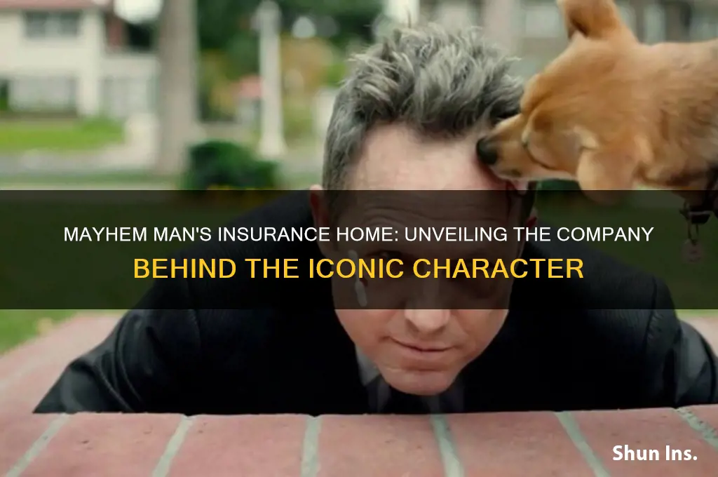 which insurance company uses mayhem man