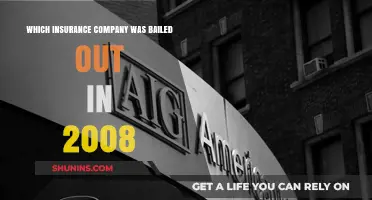The 2008 Insurance Bailout: Which Company Received Taxpayer Funds?