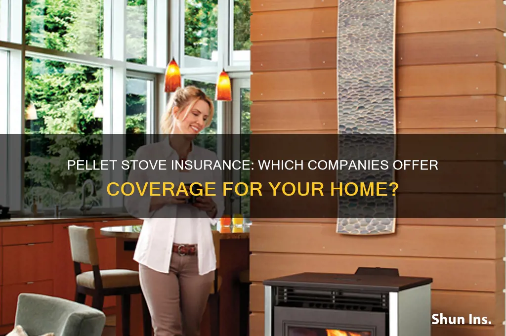 which insurance company will cover a pellet stove
