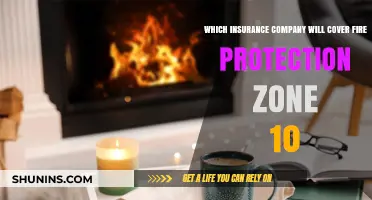 Fire Protection Zone 10: Which Insurer Offers the Best Coverage?