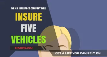 Finding the Right Insurance Company for Your Five-Vehicle Fleet
