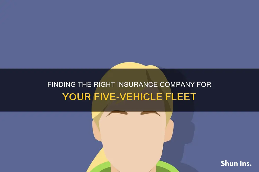 which insurance company will insure five vehicles