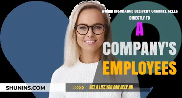 Direct Employee Insurance: How Companies Offer Coverage to Staff