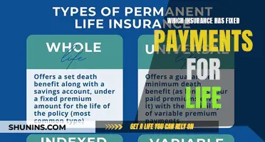 Life Insurance: Fixed Payments for Peace of Mind