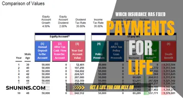 Fixed Payments for Life: Annuities and Insurance Plans