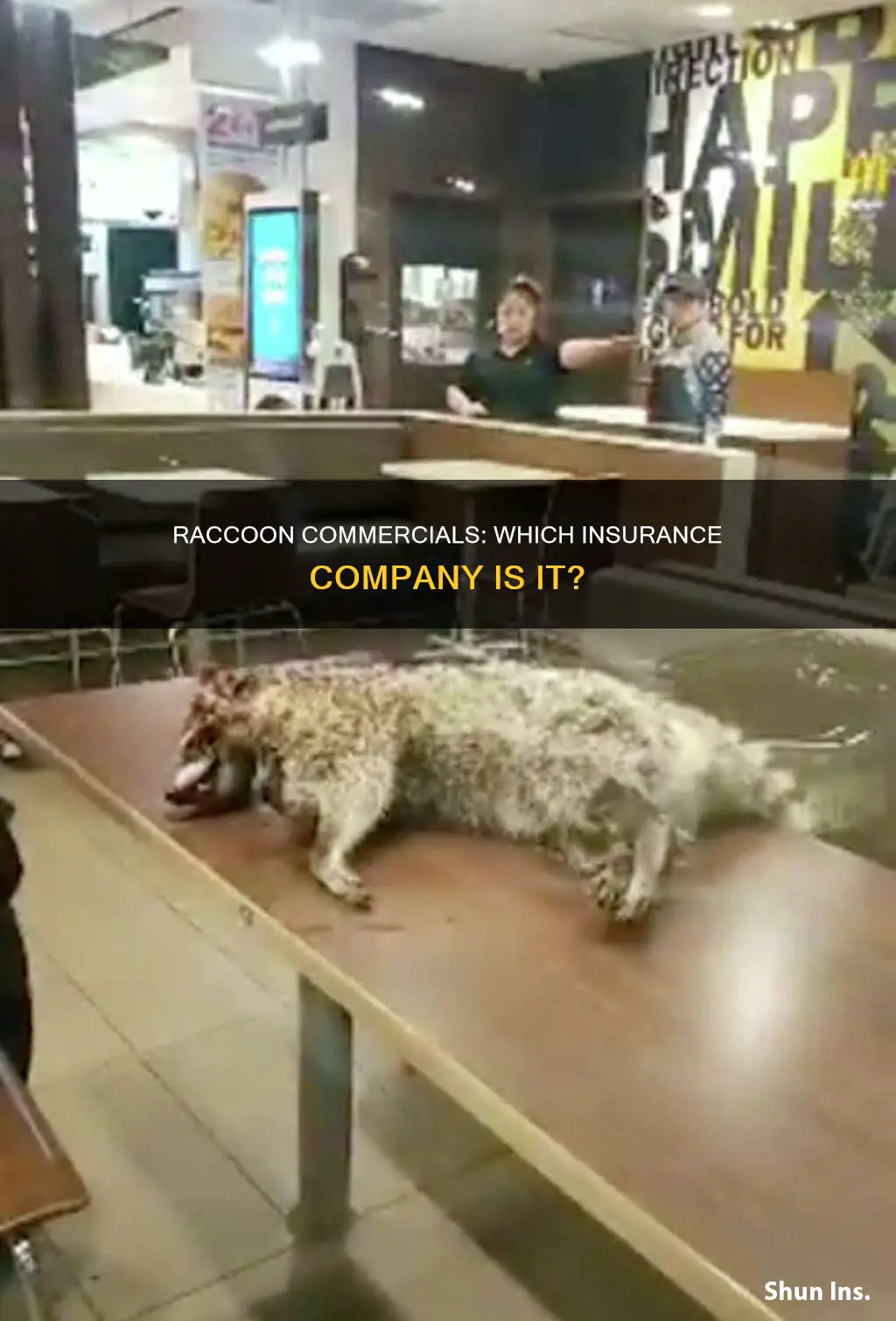 which insurance has the racoon commercial