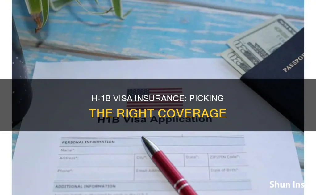 which insurance is better for h1 b visa status people