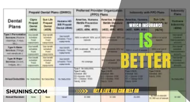 Best Insurance Options: How to Choose the Right Plan