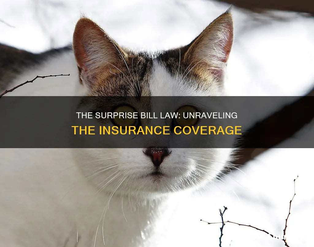 which insurances are under the surprise bill law