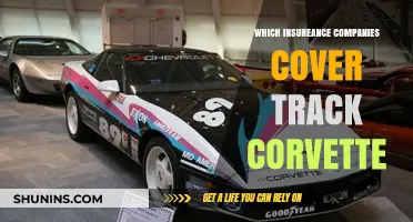 Track Corvette Insurance: Which Companies Offer Coverage for High-Performance Driving?