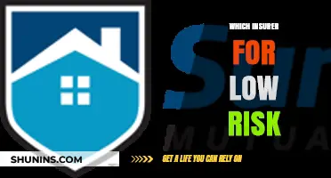 Low-Risk Insurance: Choosing the Right Insurer